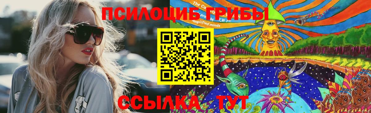 Псилоцибиновые грибы Cubensis  Вход с VPN  дарнет шоп  Псилоцибиновые грибы прущие грибы  Пугачёв 