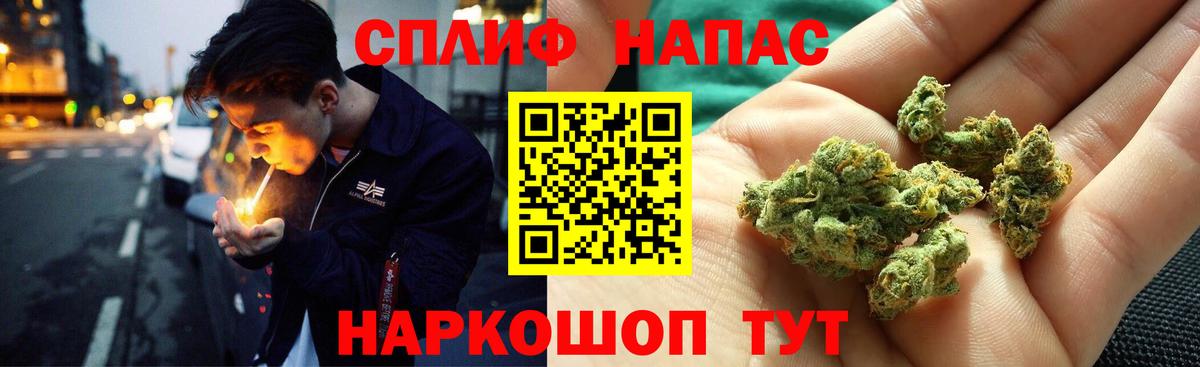 Пугачёв  Каннабис сатива  Бошки Шишки тримм  Вход с VPN  Конопля конопля 
